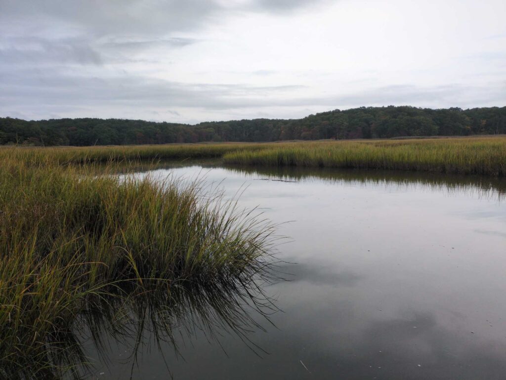 a body of water with grass and trees around it (MyCoast AI)