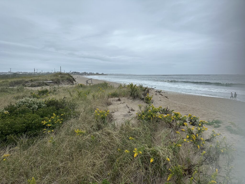 a beach with people walking on it (MyCoast AI)