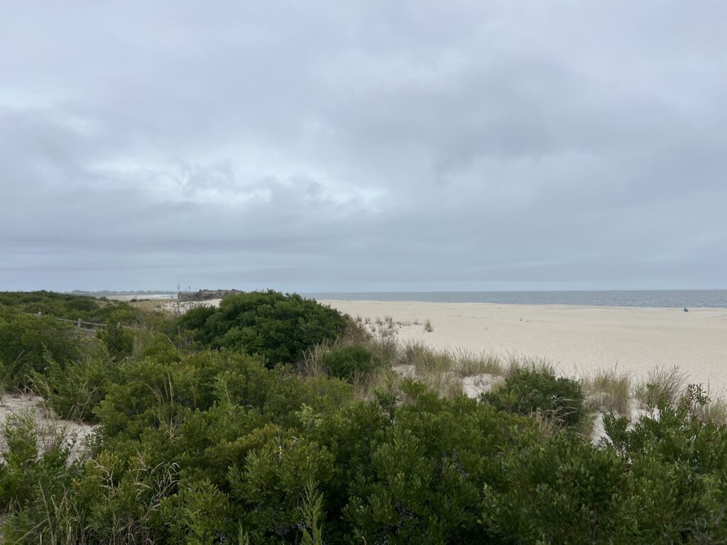 a beach with bushes and trees (MyCoast AI)