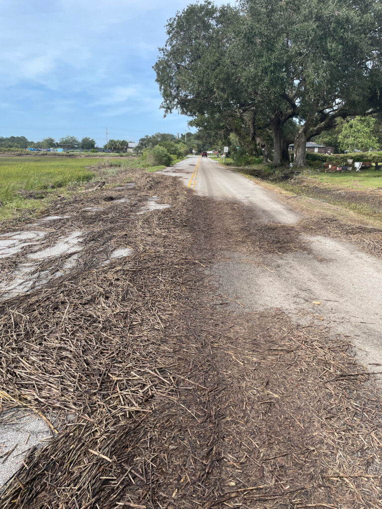 a dirt road with a tree on the side (MyCoast AI)