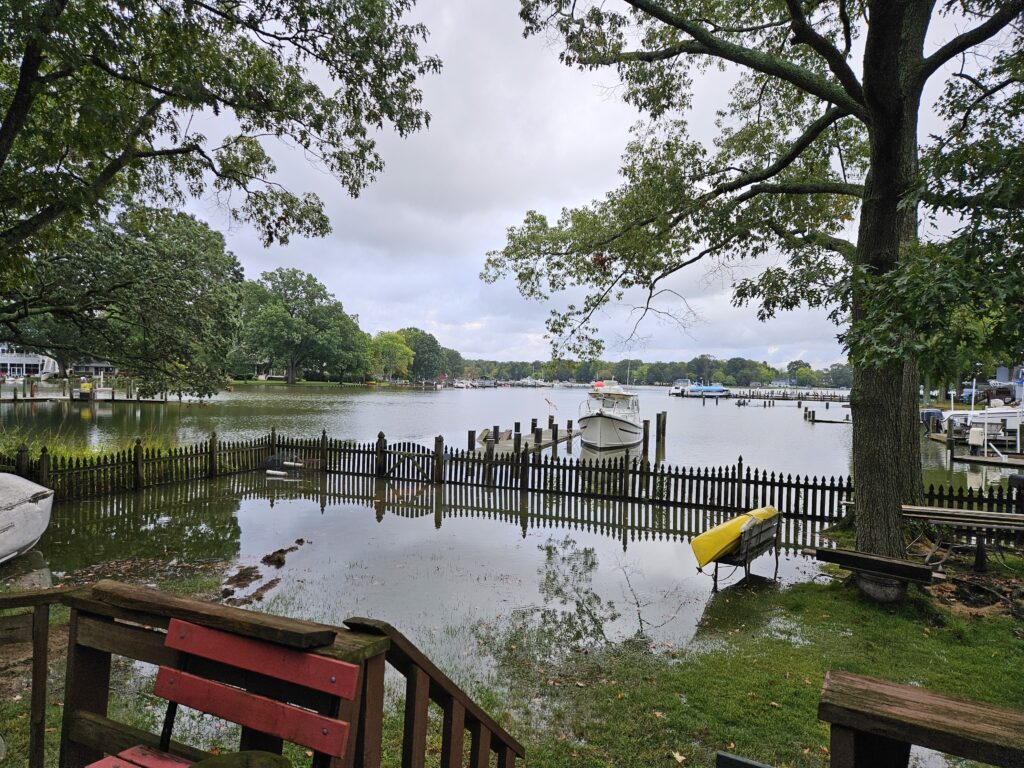 a lake with benches and a boat (MyCoast AI)