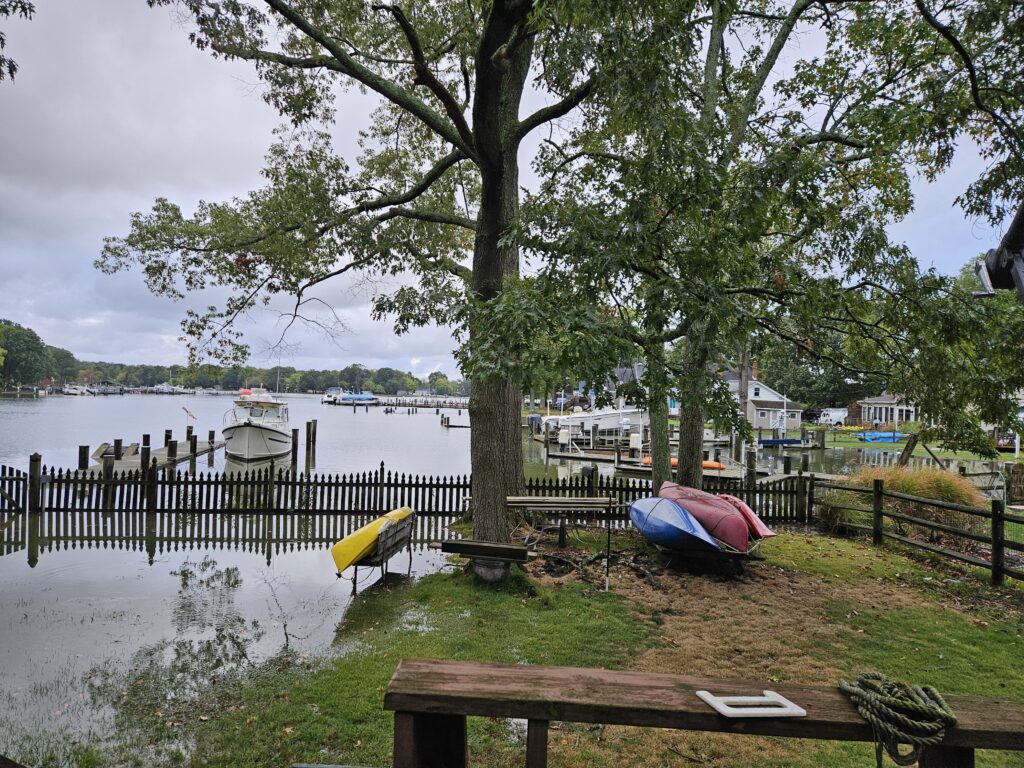 a park with a lake in the background (MyCoast AI)