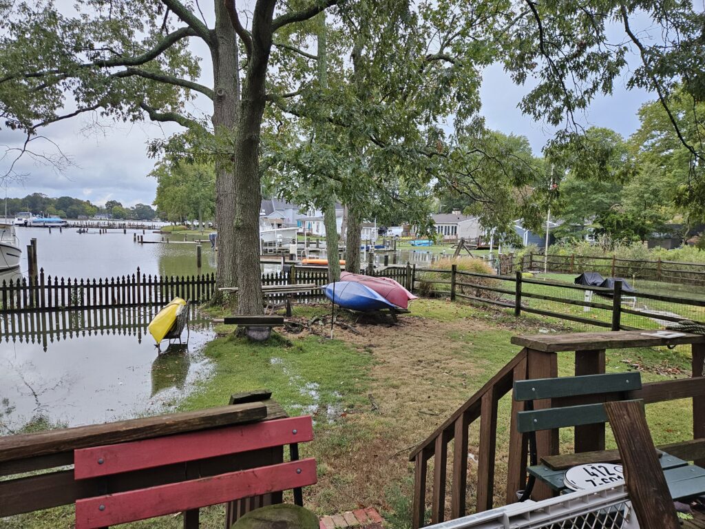a park with benches and a body of water (MyCoast AI)