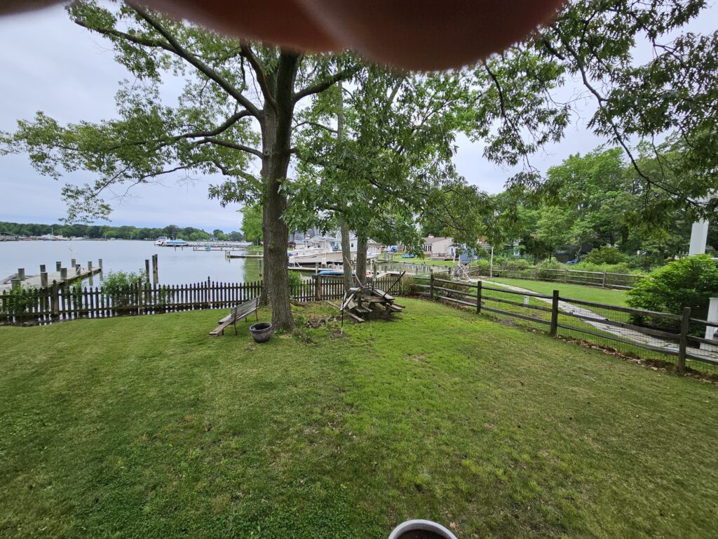 a tree in a grassy area next to a body of water (MyCoast AI)
