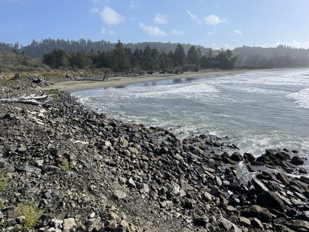 a rocky shore with trees in the background (MyCoast AI)