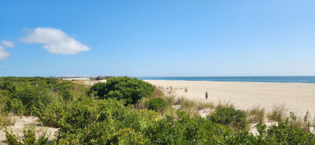 a person walking on a beach (MyCoast AI)