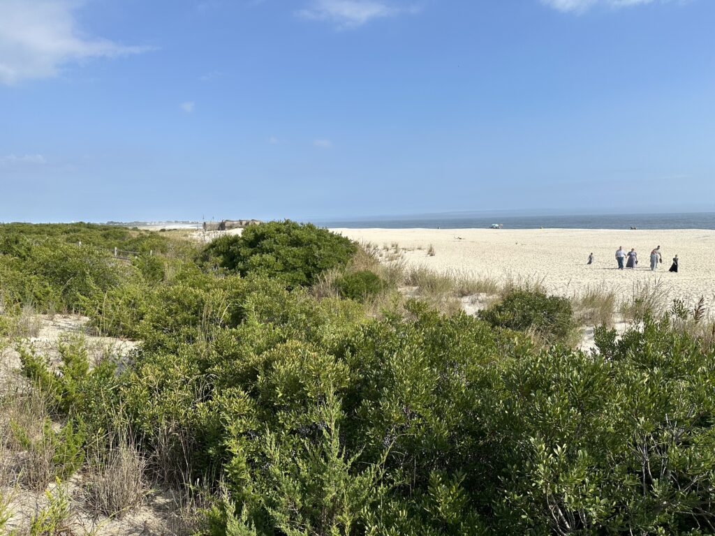 a group of people walking in a field (MyCoast AI)