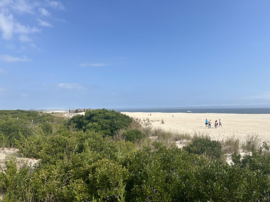 a group of people walking on a beach (MyCoast AI)