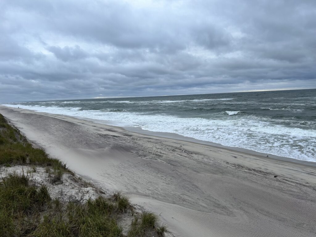 a beach with waves crashing on it (MyCoast AI)