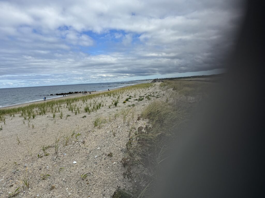 a beach with a body of water (MyCoast AI)