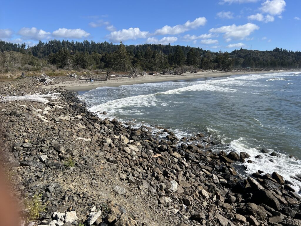 a rocky beach with trees in the background (MyCoast AI)