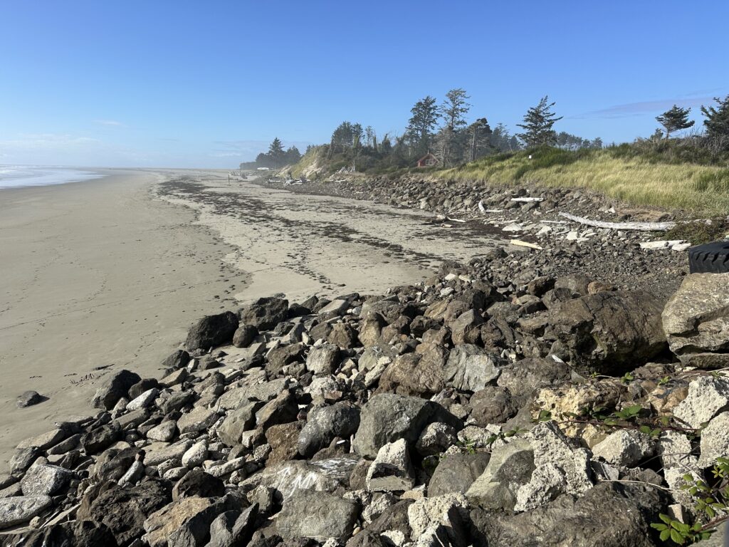 a rocky beach with trees and grass (MyCoast AI)