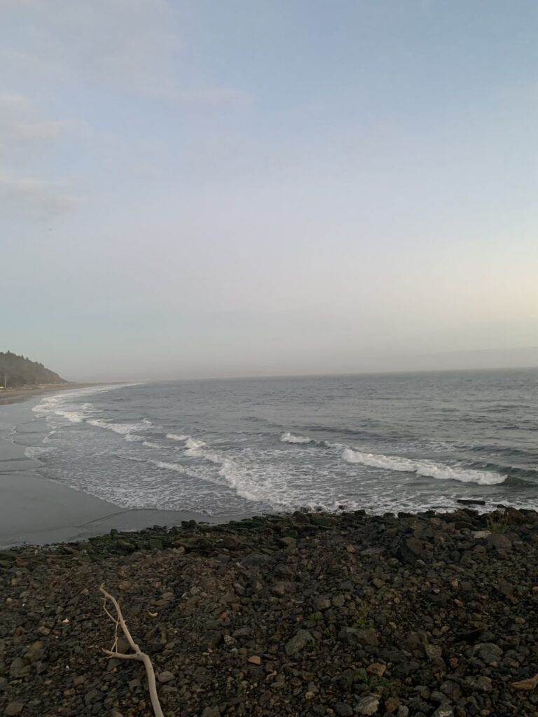 a rocky beach with waves crashing (MyCoast AI)