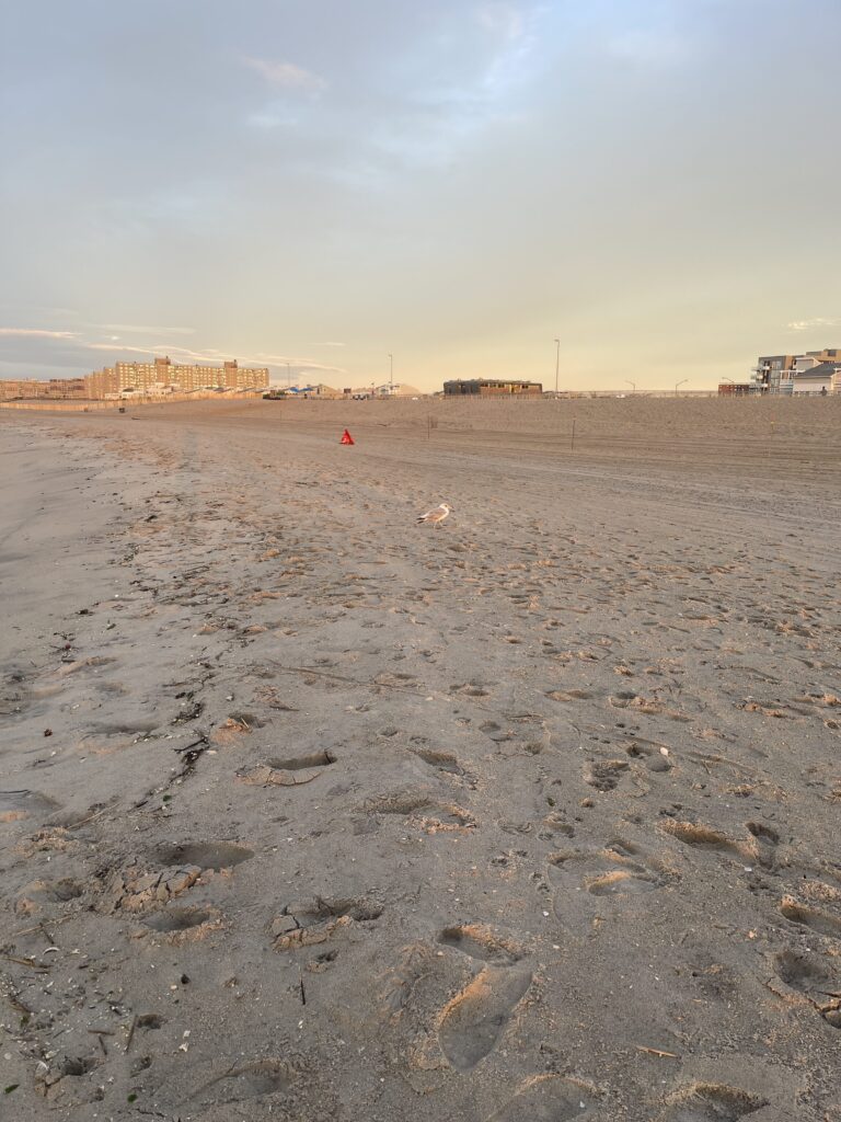 a sandy beach with buildings in the background (MyCoast AI)