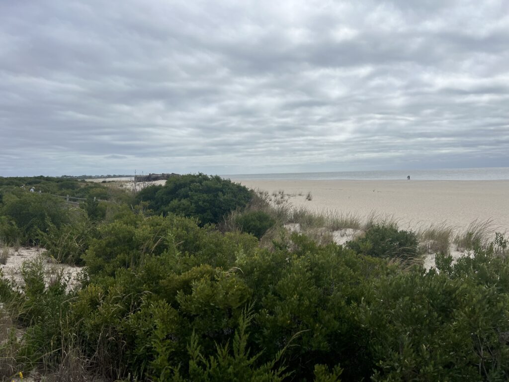 a beach with trees and bushes (MyCoast AI)