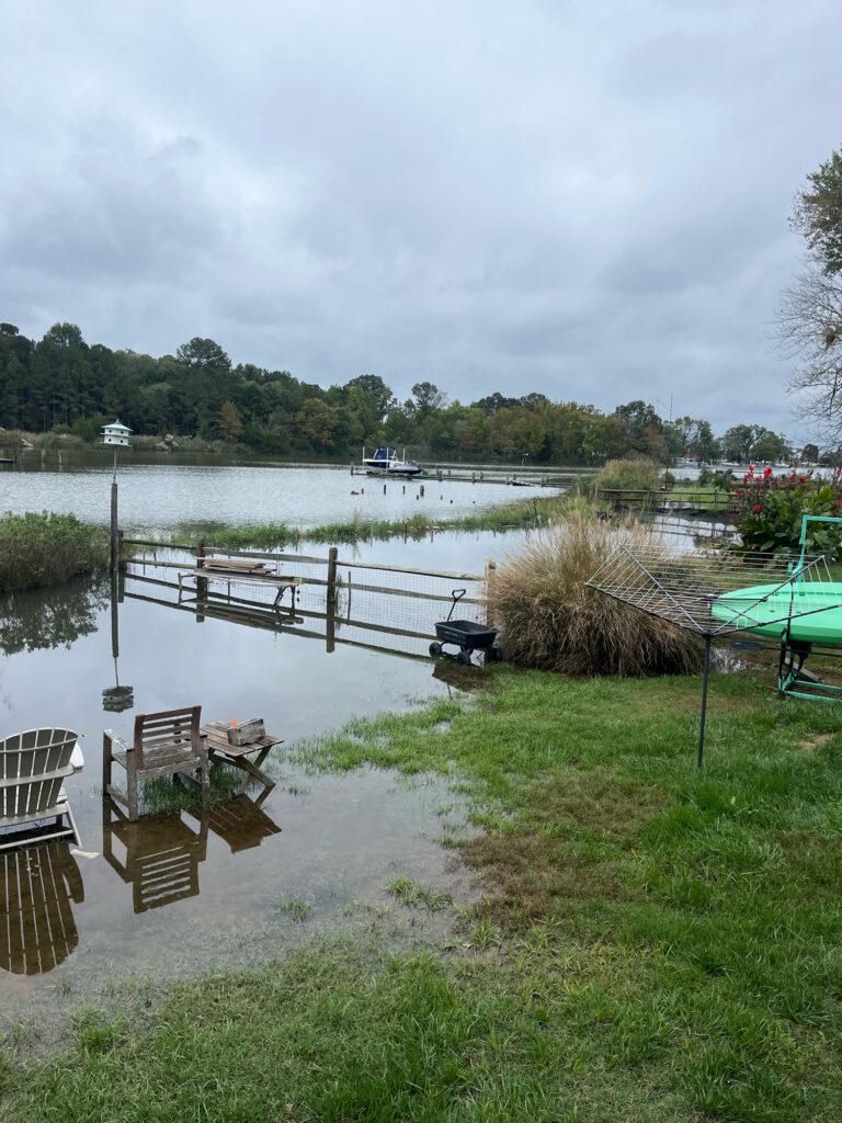 a dock in a lake (MyCoast AI)