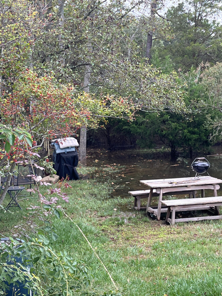 a picnic table and a bench in a yard with trees (MyCoast AI)