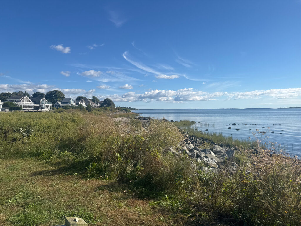 a grassy area next to a body of water (MyCoast AI)