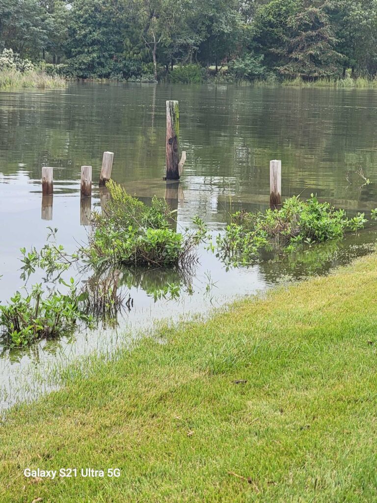 a body of water with grass and trees around it (MyCoast AI)