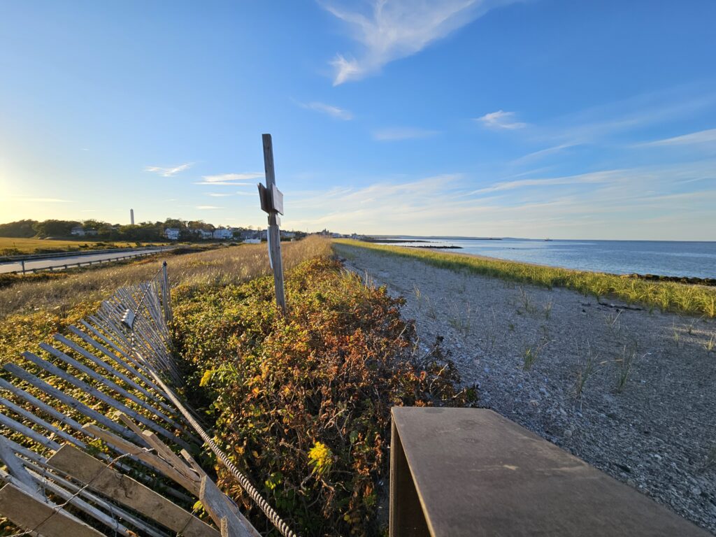 a road with a railing and bushes along it (MyCoast AI)