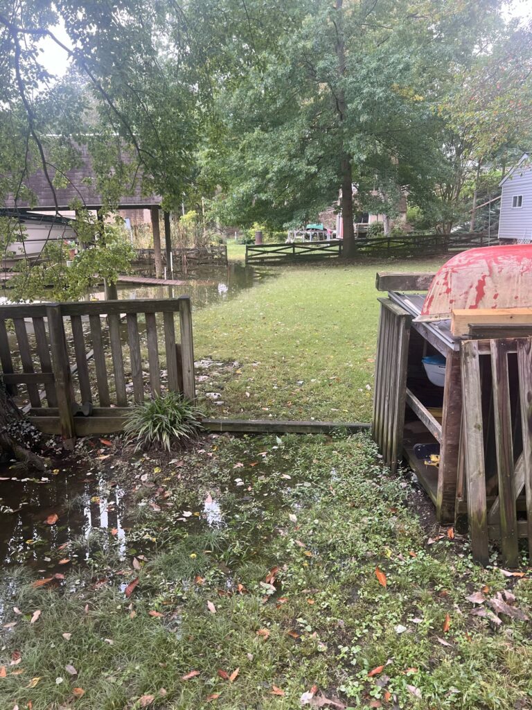 a yard with a fence and trees (MyCoast AI)