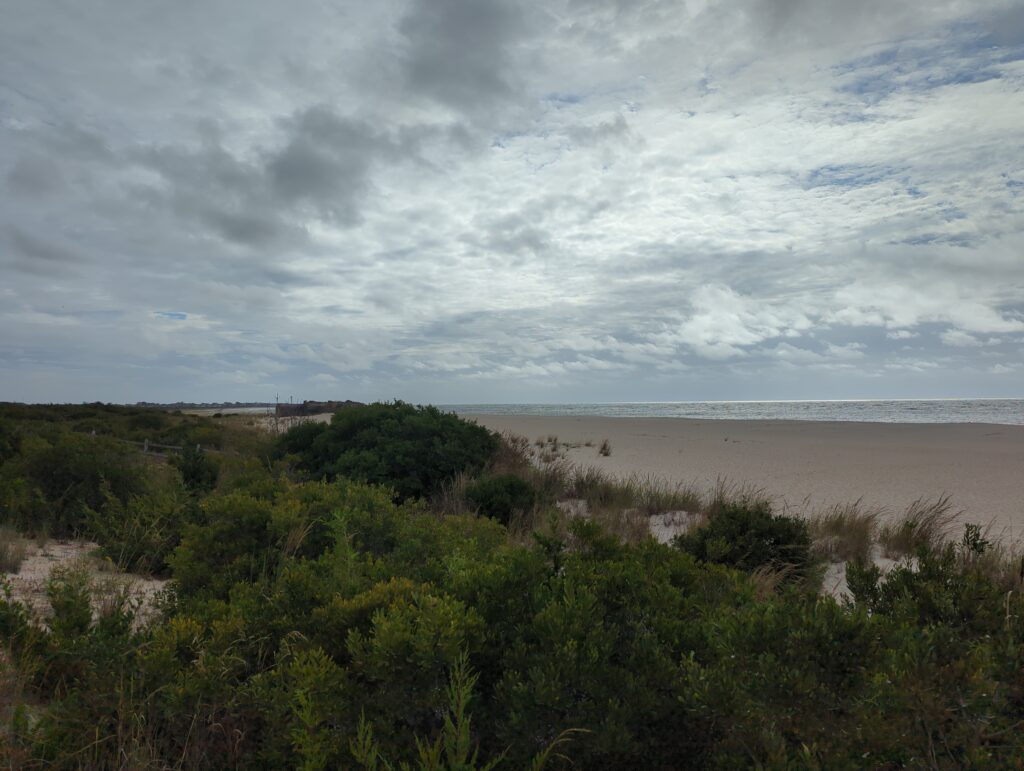 a beach with trees and bushes (MyCoast AI)