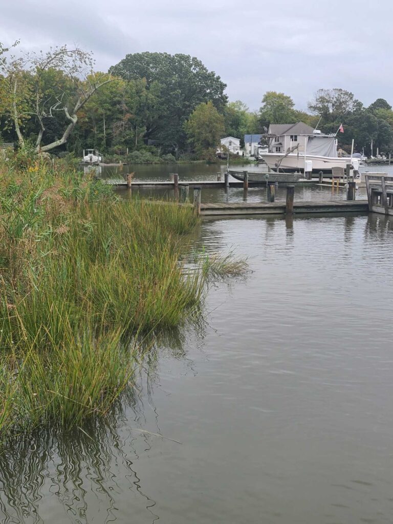 a dock over a body of water (MyCoast AI)