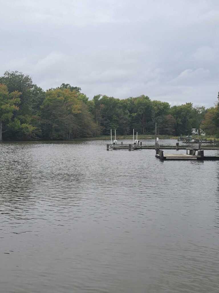 a dock on a lake (MyCoast AI)