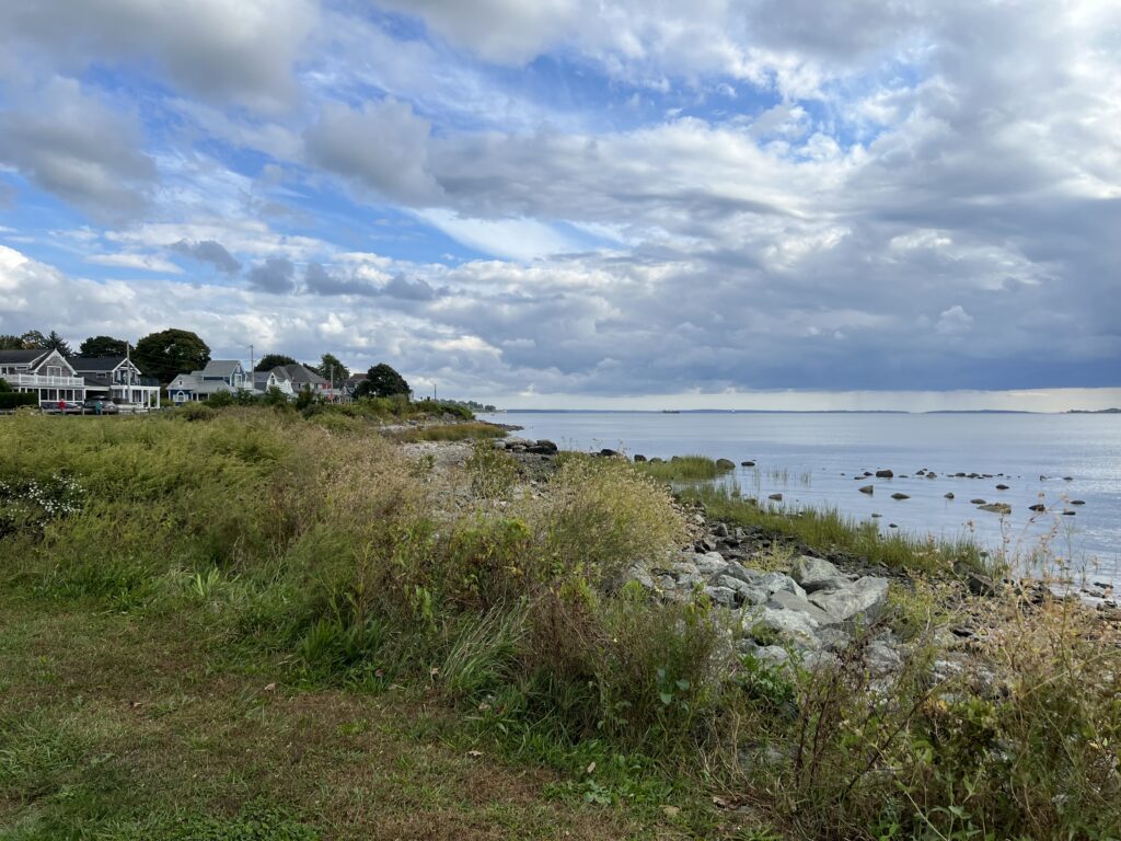 a grassy area next to a body of water (MyCoast AI)