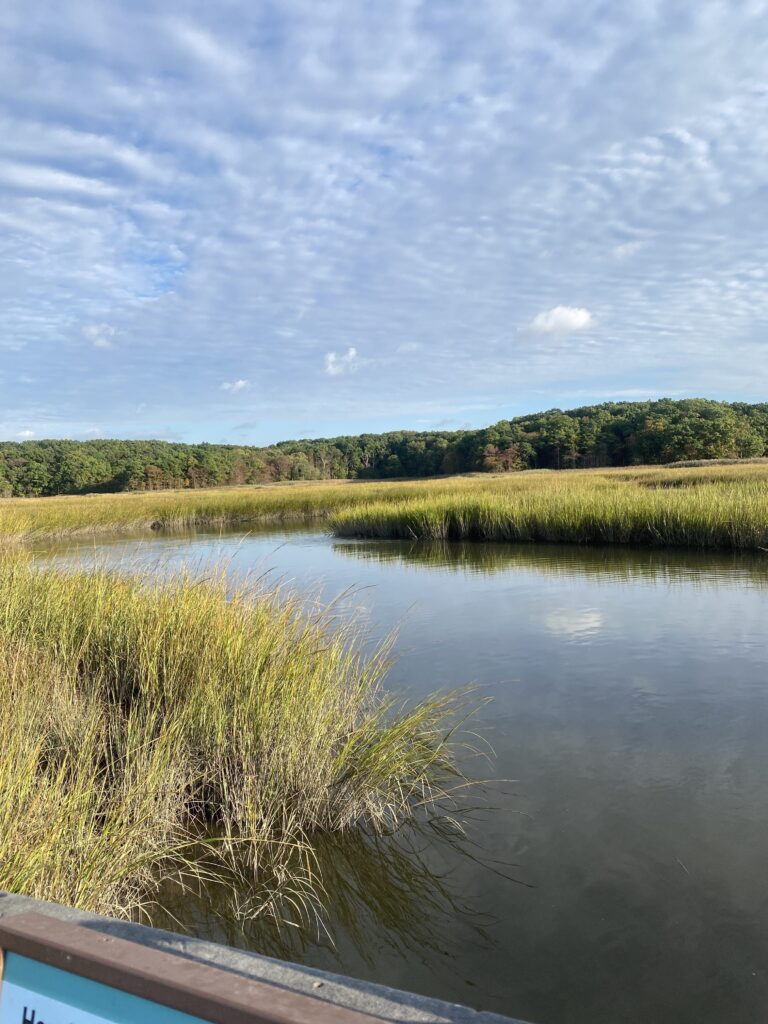 a body of water with grass and trees around it (MyCoast AI)