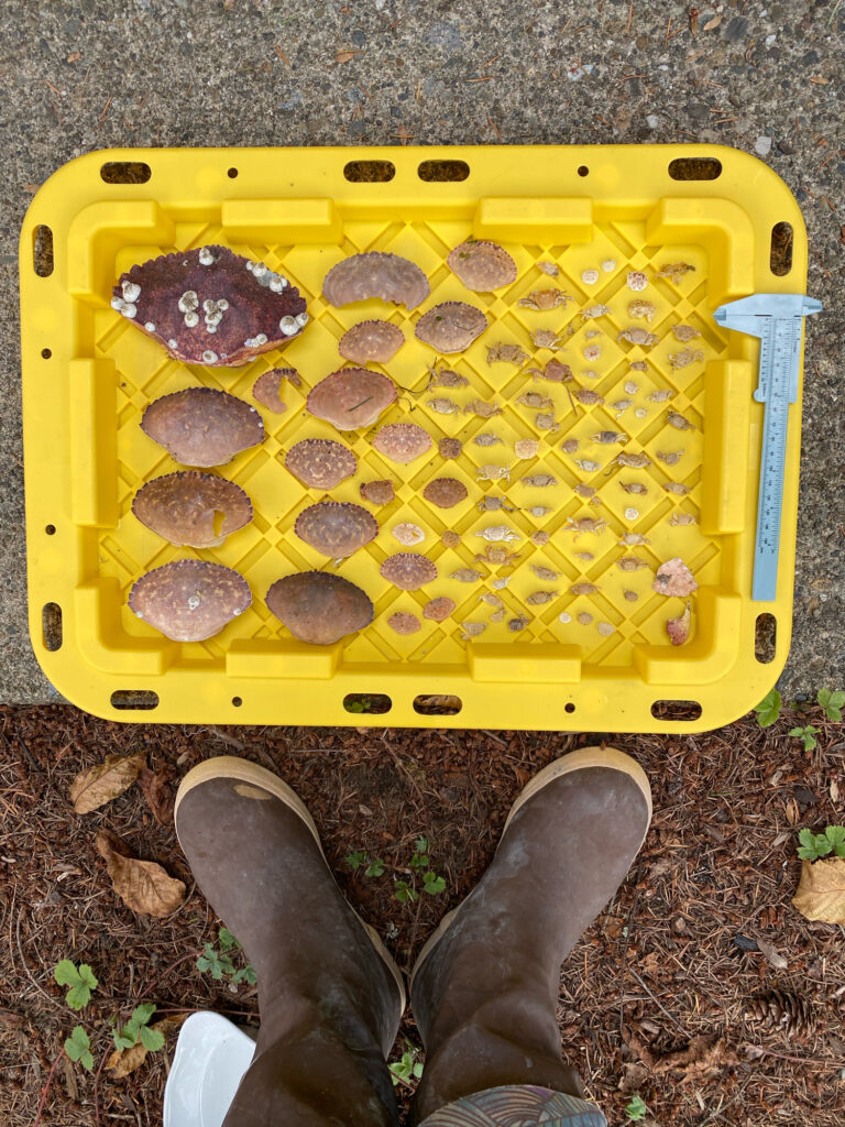 a yellow container with food in it (MyCoast AI)