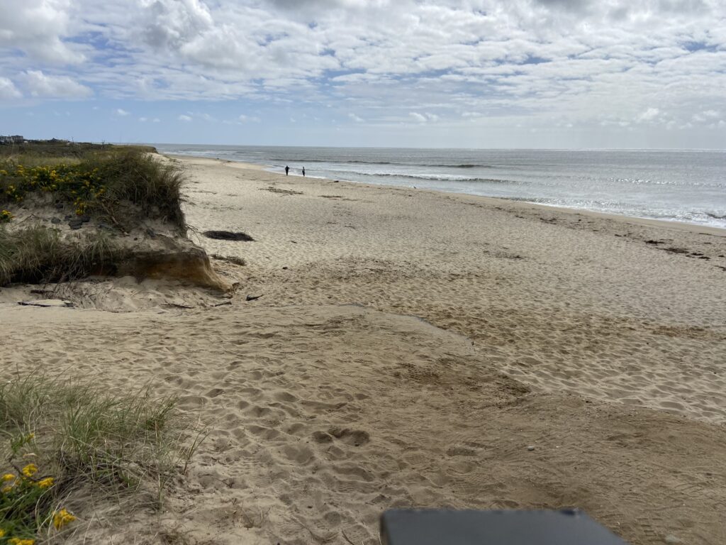 a sandy beach with people walking on it (MyCoast AI)