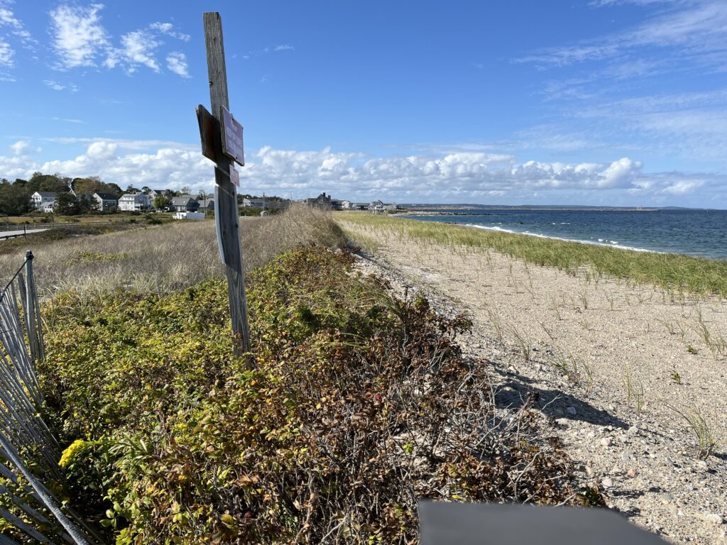 a beach with a fence and bushes (MyCoast AI)