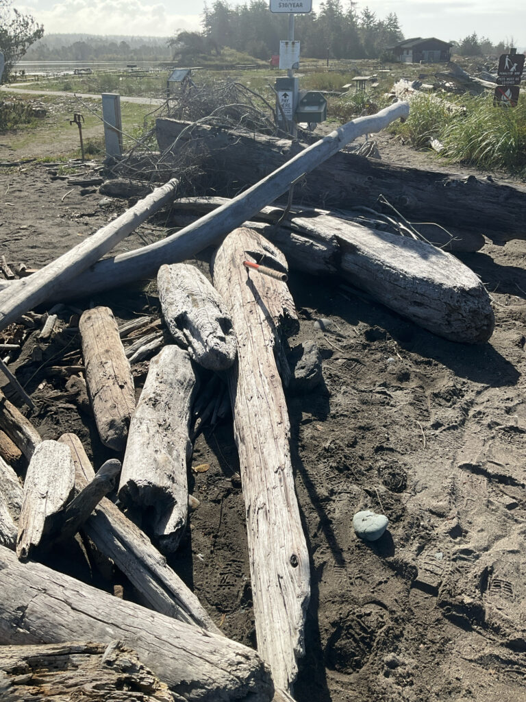 a group of logs in a field (MyCoast AI)