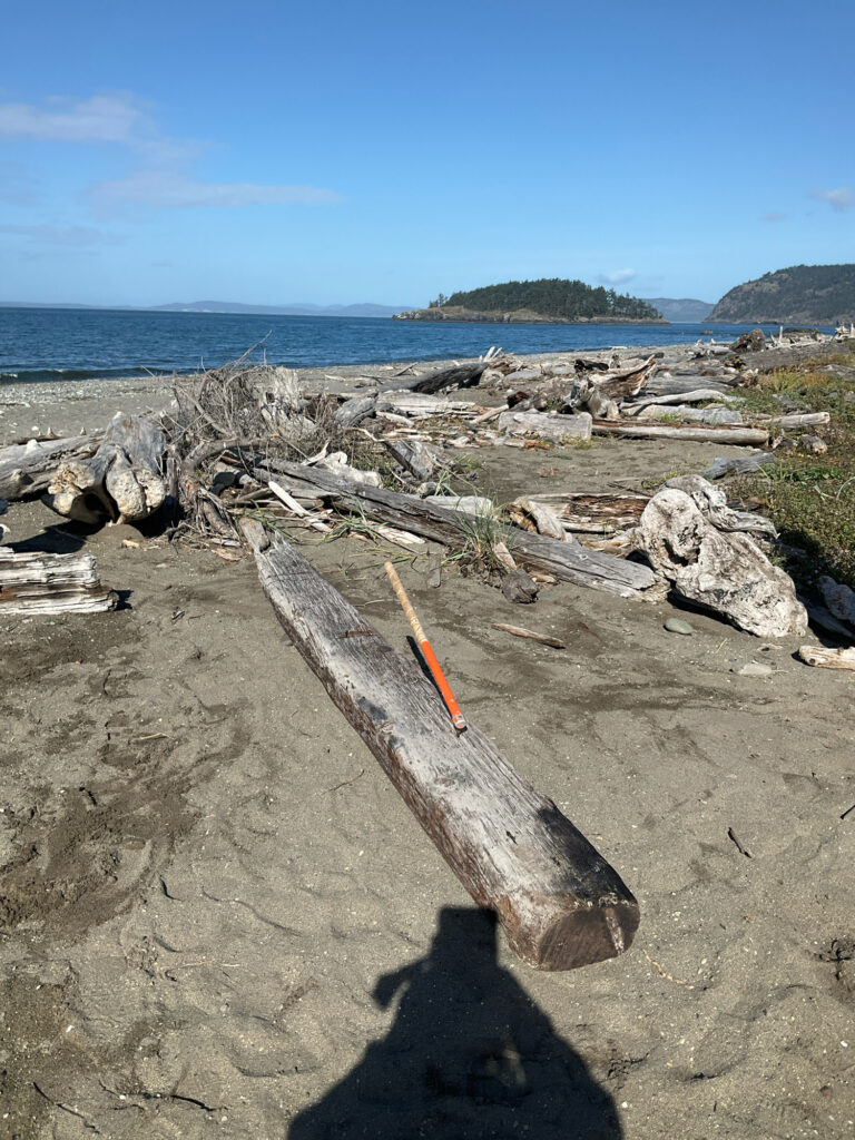 a wood bench sits on a beach (MyCoast AI)