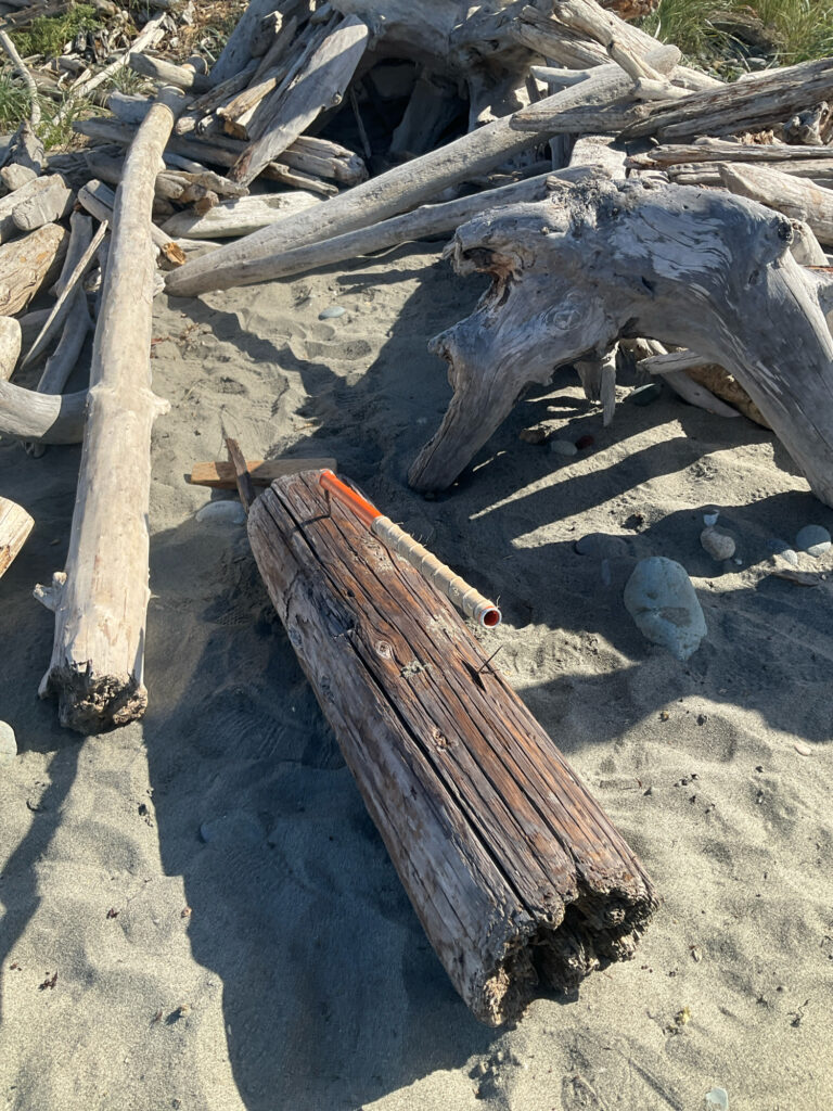 a pile of wood (MyCoast AI)