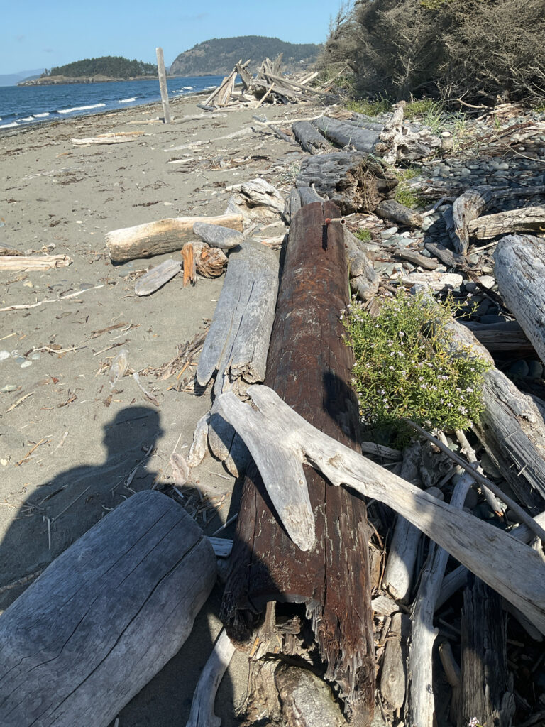 a fence on a beach (MyCoast AI)
