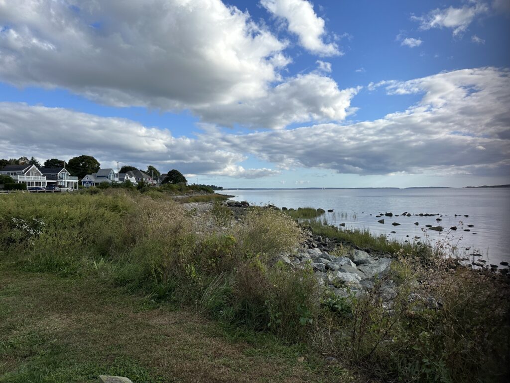 a grassy area next to a body of water with houses in the background (MyCoast AI)