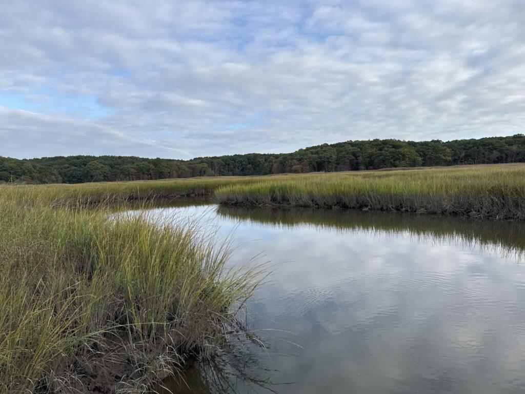 a body of water with grass and trees around it (MyCoast AI)