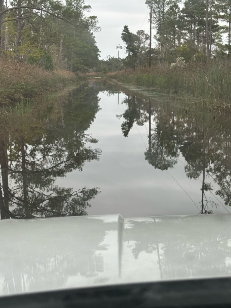 a body of water with trees around it (MyCoast AI)