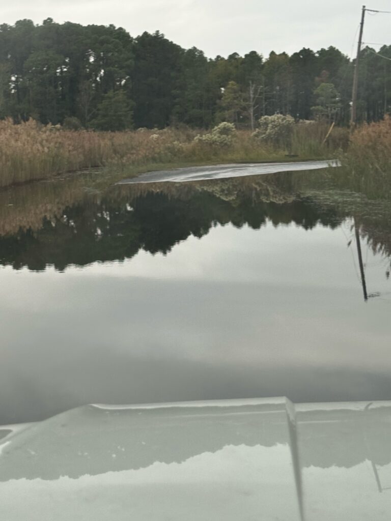 a body of water with trees in the background (MyCoast AI)