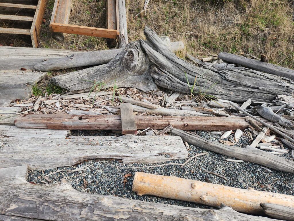 a pile of wood (MyCoast AI)