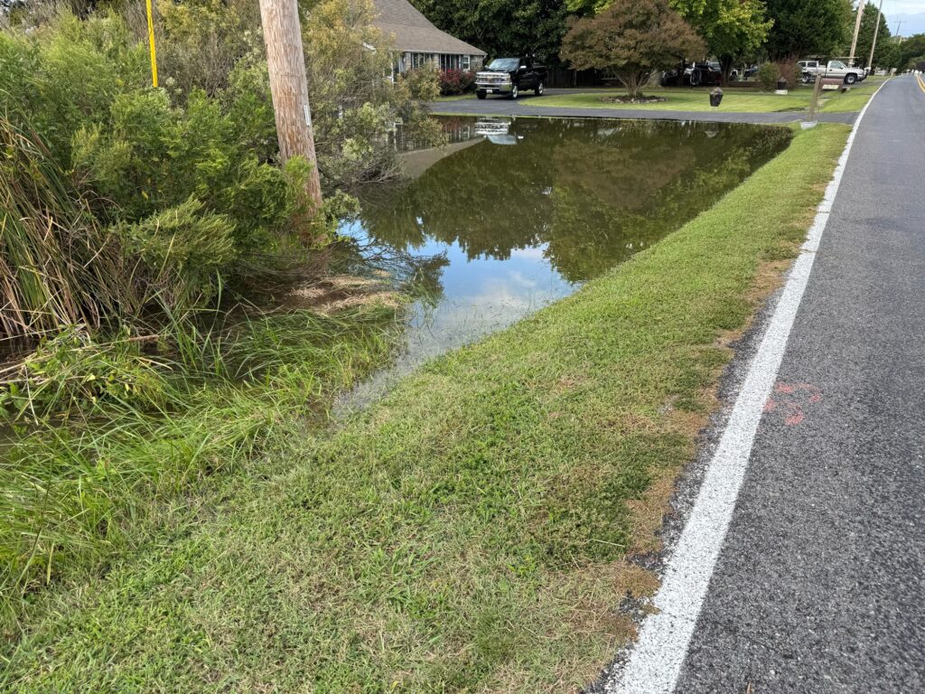 a small pond in a neighborhood (MyCoast AI)