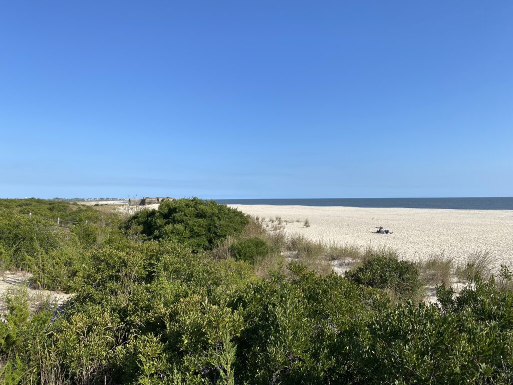 a sandy beach with bushes and trees (MyCoast AI)
