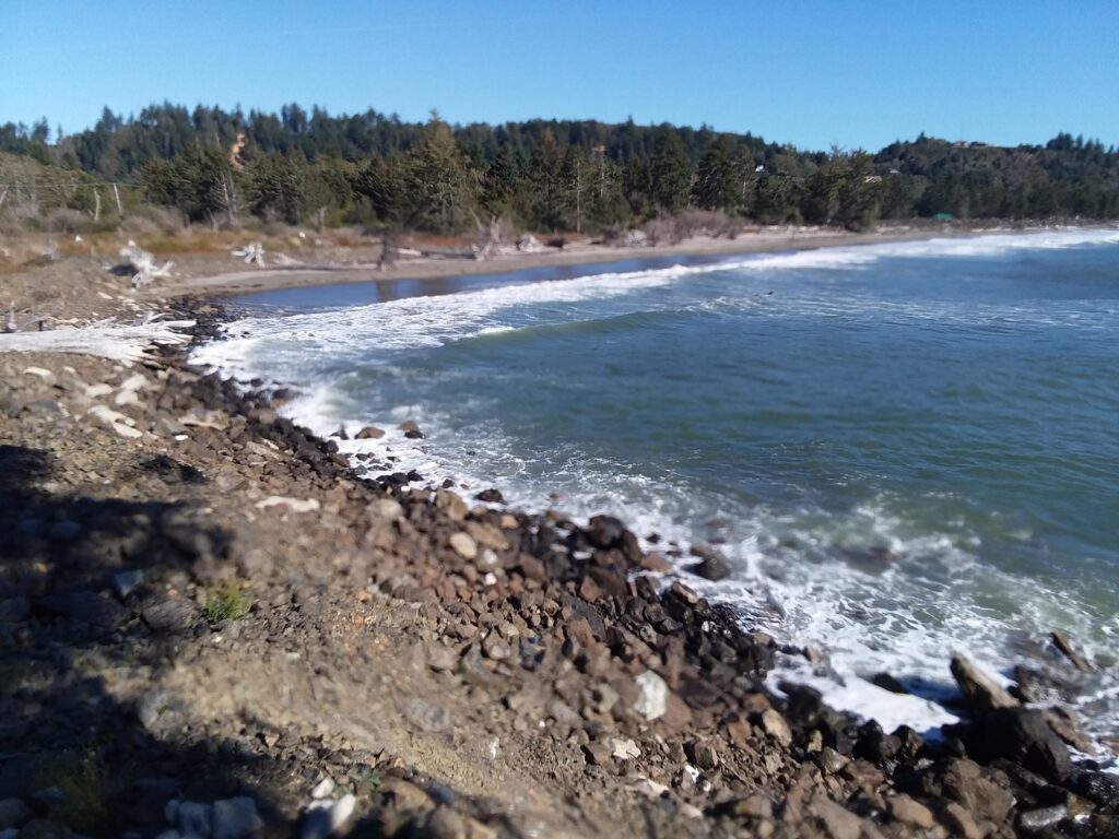 a rocky beach with trees in the background (MyCoast AI)