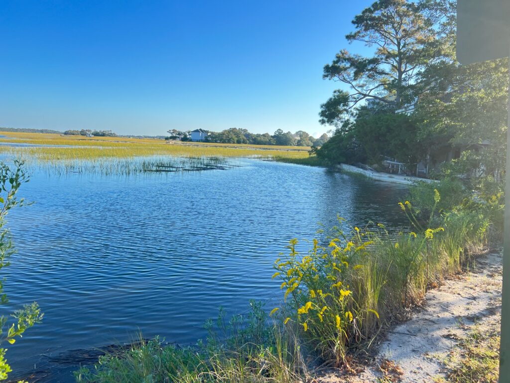 a body of water with grass and trees around it (MyCoast AI)