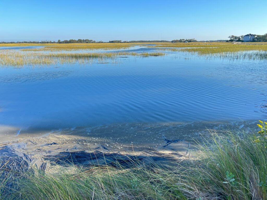 a body of water with grass and sand around it (MyCoast AI)