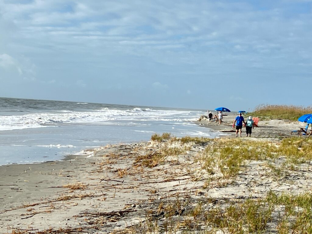 people walking on a beach (MyCoast AI)