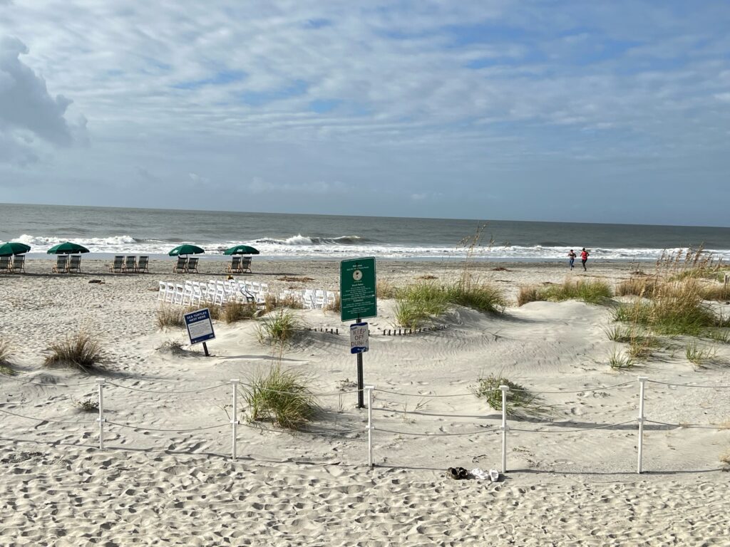 a beach with umbrellas and people (MyCoast AI)