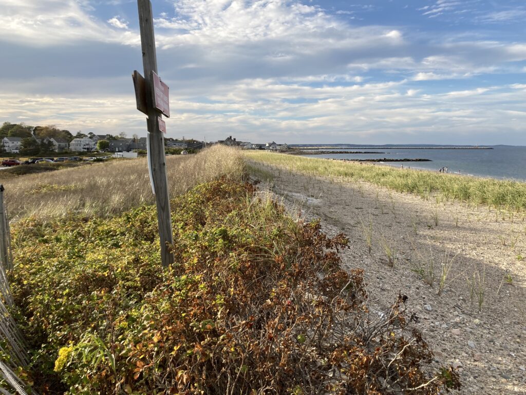 a road with a sign on it (MyCoast AI)